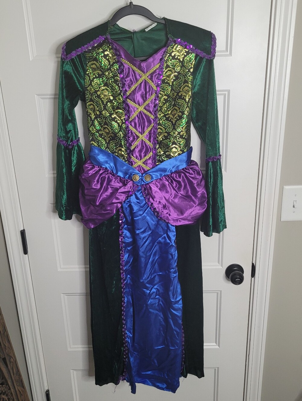 Hocus Pocus Winifred Sanderson-inspired witch costume w Wig